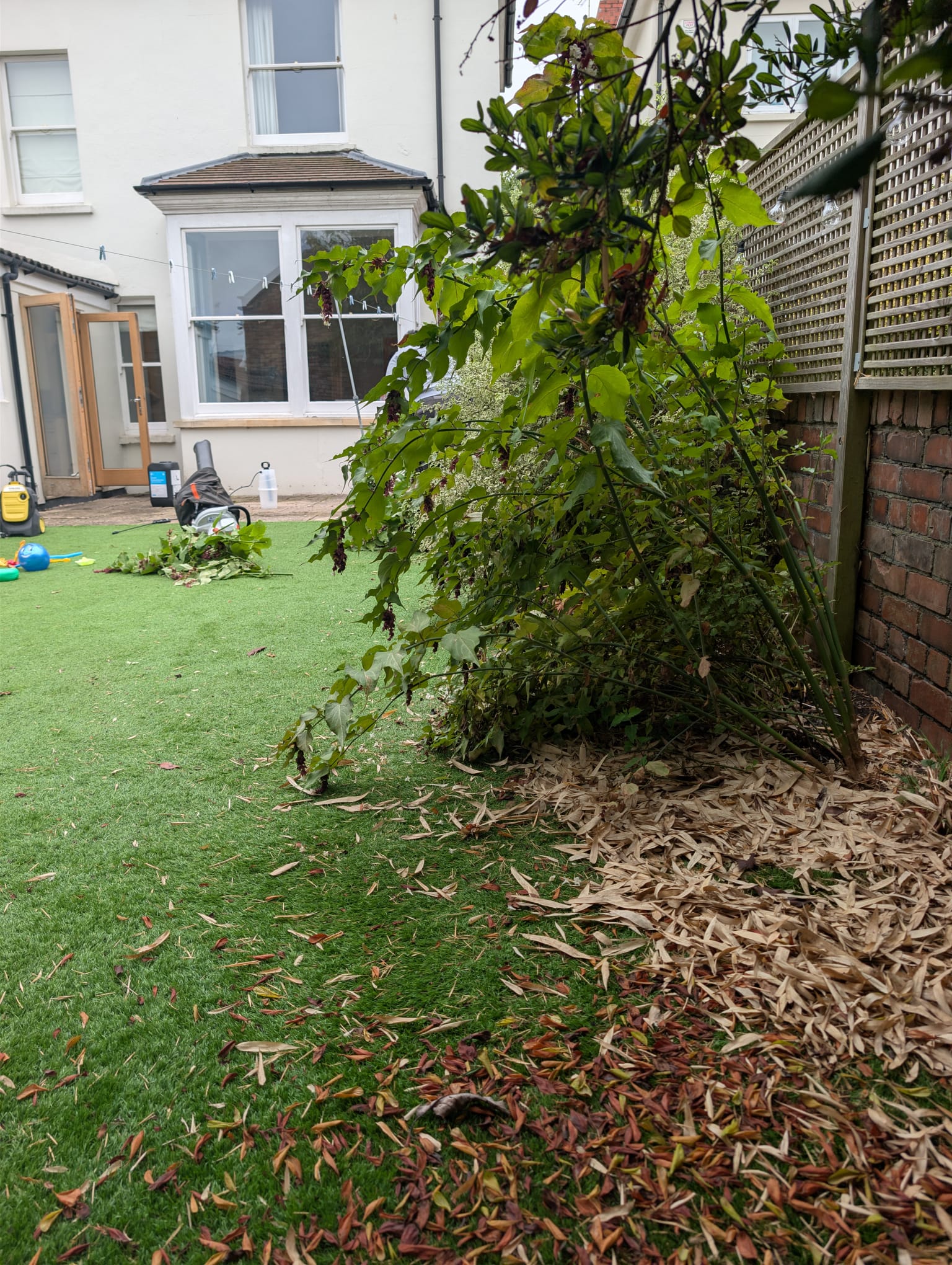 Before the tidy-up was complete: overhanging border growth and fallen leaves beside an artificial lawn