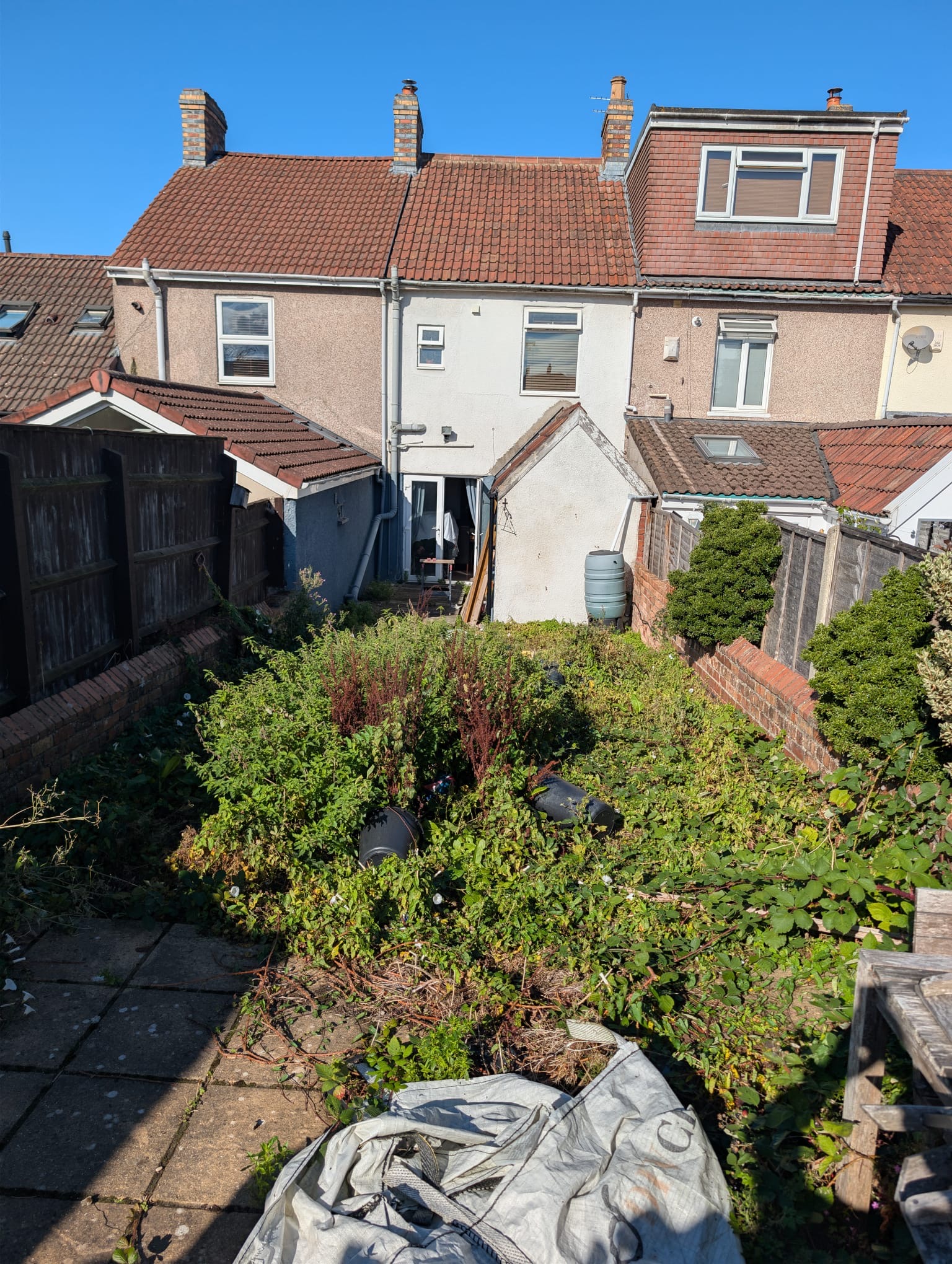 Before: an overgrown terraced-house garden viewed towards the house