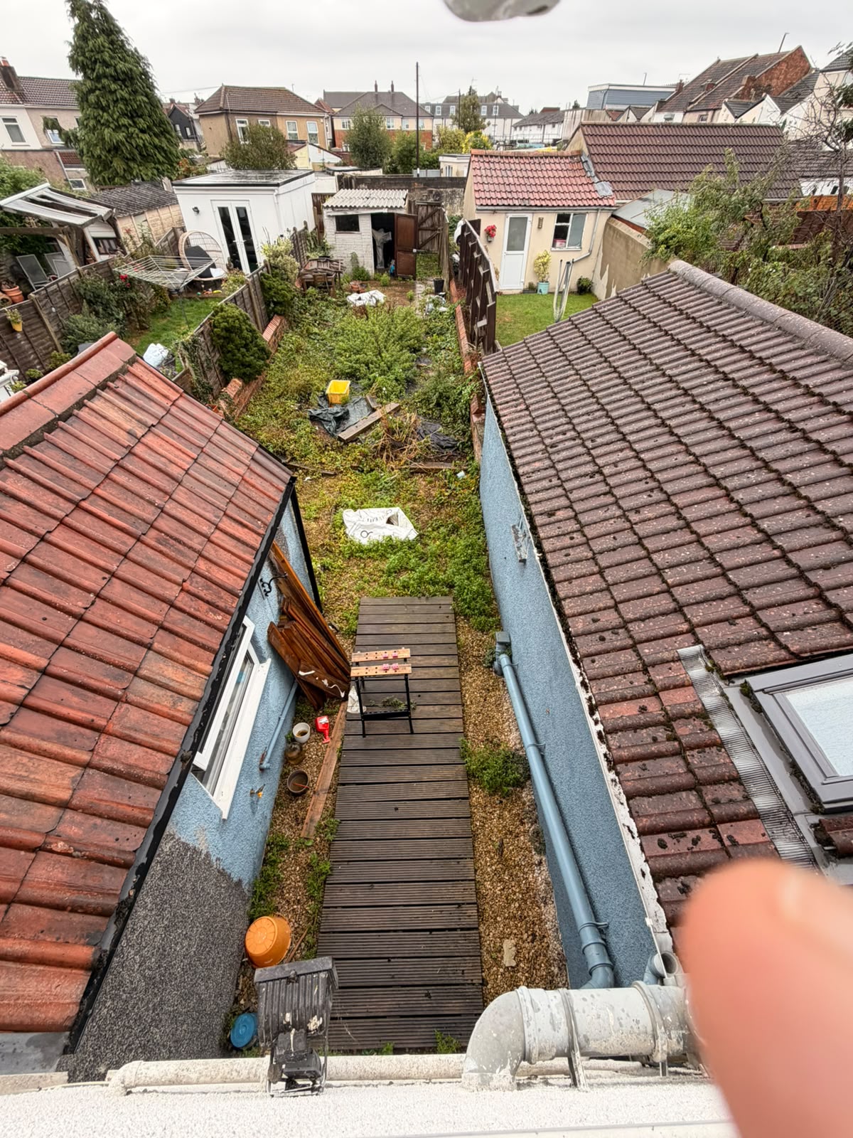 Before: view from above of overgrowth across the garden and around the wooden walkway