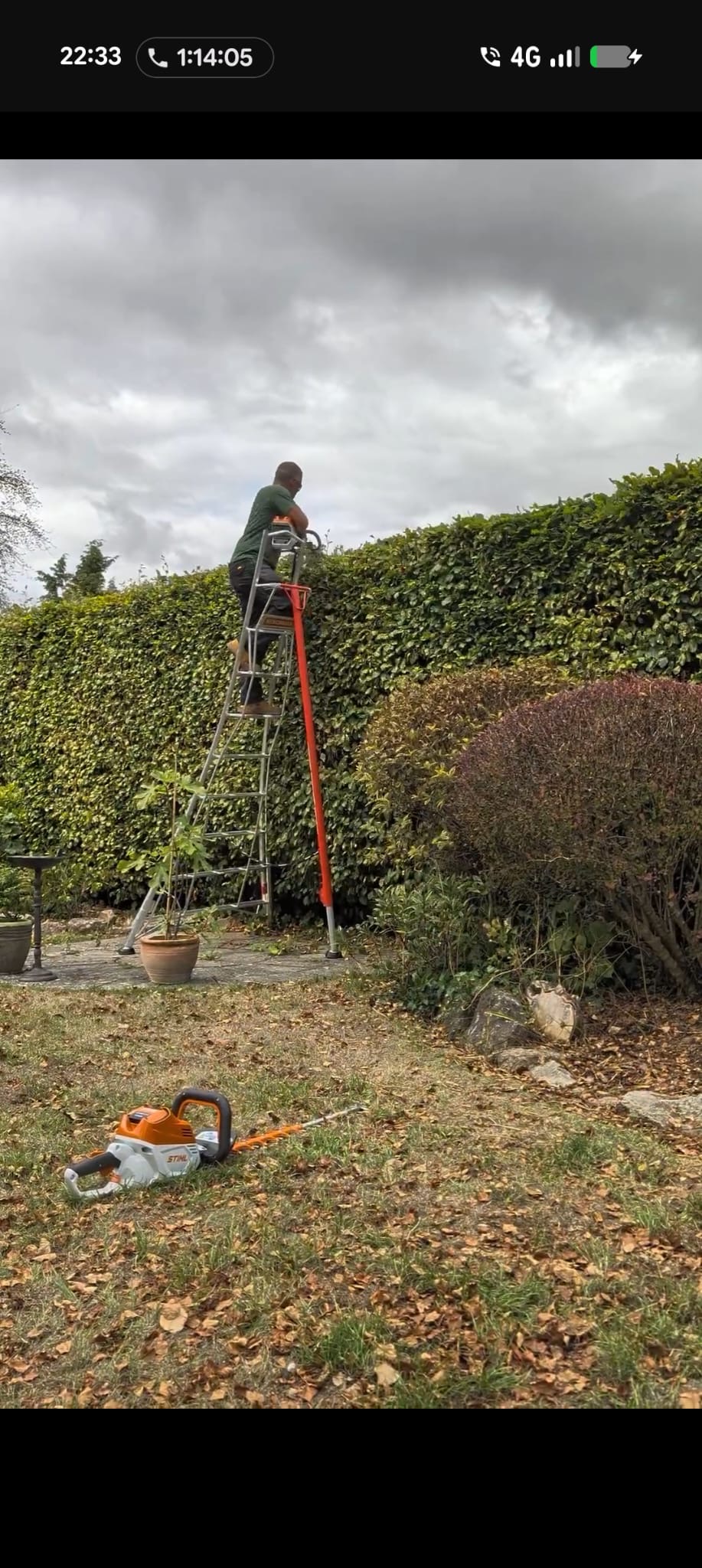 Mitch trimming the top of a tall garden hedge from a platform ladder