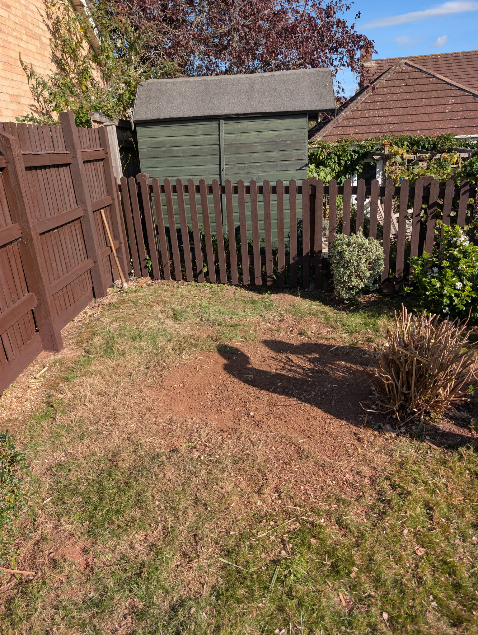 After: the garden corner cleared of the large grass clump, with more open space