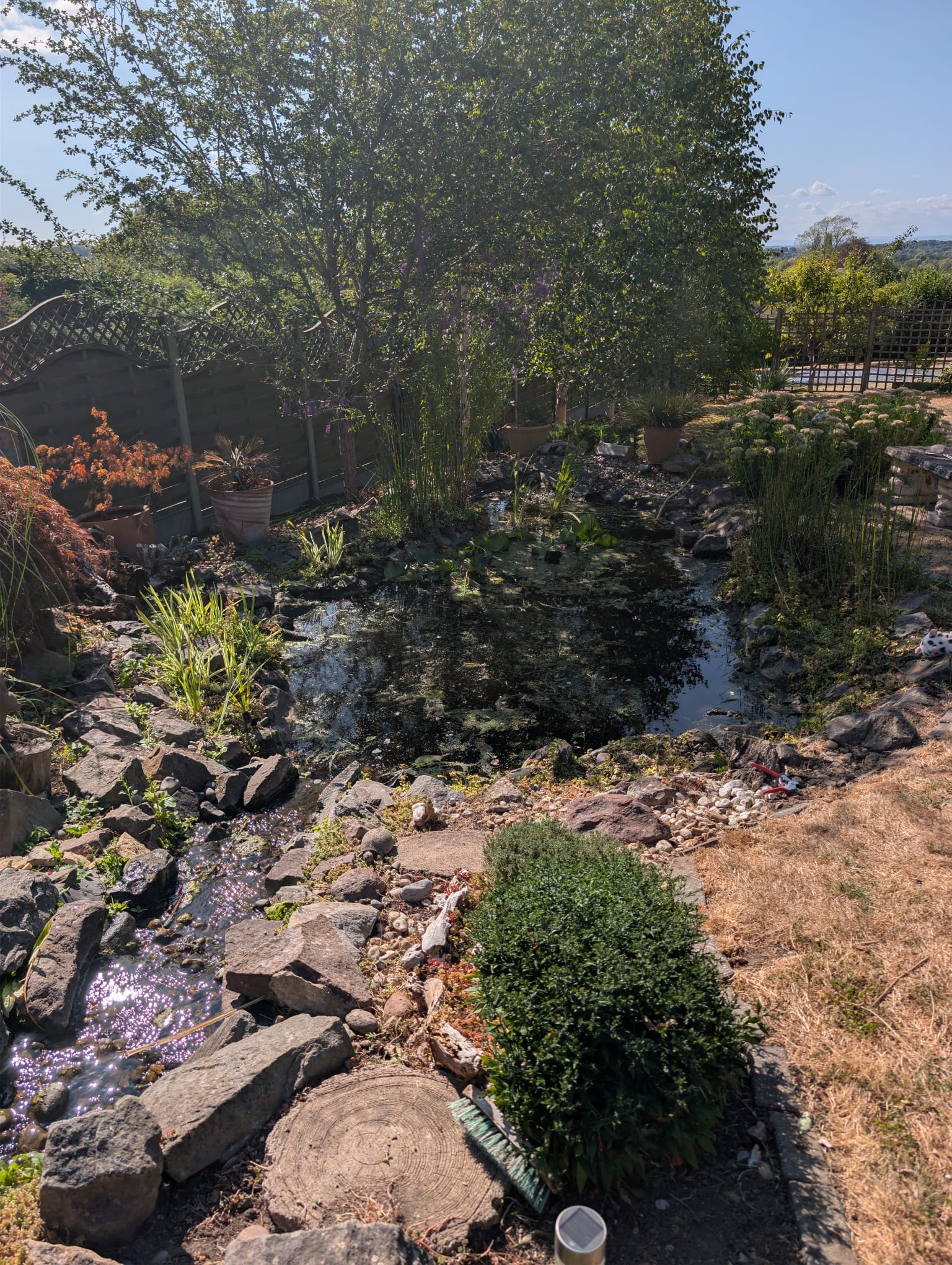 After: the same pond with planting cut back and more open water visible